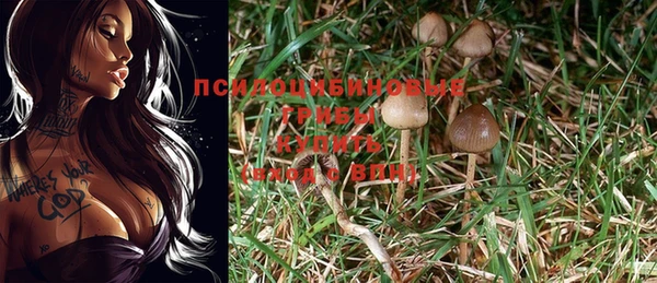 спайс Пролетарск