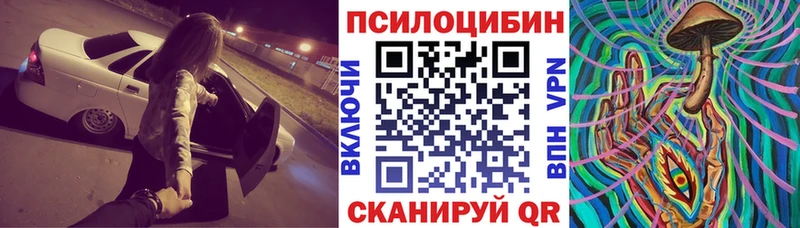Галлюциногенные грибы прущие грибы  Купить  Любим 